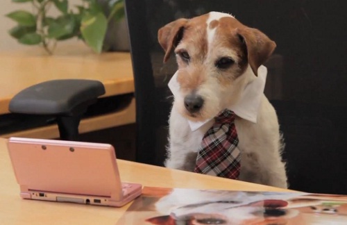 Uggie, le chien de The Artist dans une pub pour Nintendo (VIDEO)
