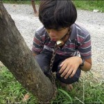 Un père enchaîne son fils à un arbre pour le punir d&rsquo;avoir joué à des jeux-vidéo