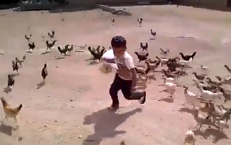 La peur de sa vie : il se fait courser par des poules affamées (VIDEO)