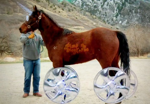 Freddie Wong – Pimp My Horse (VIDEO)