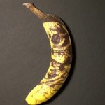 Phil Hansen, le tatoueur de bananes (VIDEO)