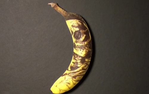 Phil Hansen, le tatoueur de bananes (VIDEO)
