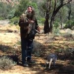 Comment attraper un bébé kangourou ? (VIDEO)