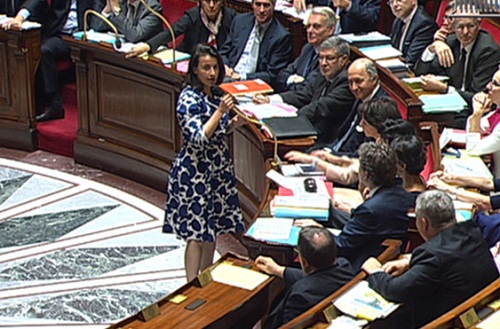 Cécile Duflot sifflée à l&rsquo;Assemblée nationale à cause de sa robe à fleurs (VIDEO)