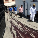 Montauban : 2 têtes de cochon déposées devant une mosquée (VIDEO)