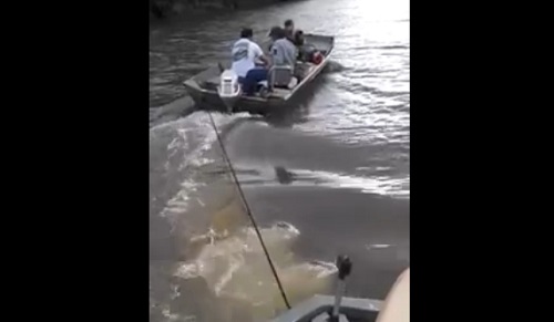 Cet homme veut une bière et il va vite le regretter