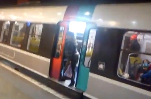 Voilà pourquoi il ne faut jamais bloquer les portes du RER