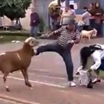 Brésil : Une chèvre terrorise un village (VIDEO)