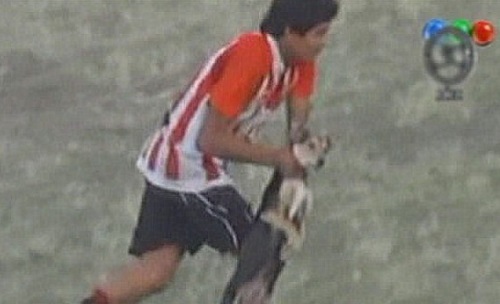 Foot : Il reçoit un carton rouge pour avoir maltraité un chien (VIDEO)