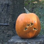 Halloween : 1001 façons de détruire une citrouille (VIDEO)