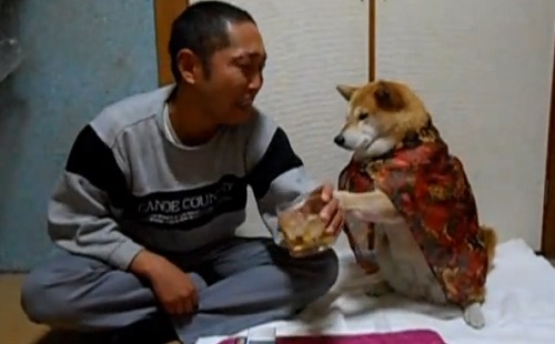 Un chien empêche son maître de boire de l’alcool (VIDEO)