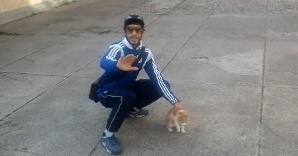 Le lanceur de chat condamné à un an de prison ferme (VIDEO)