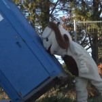 Rémi Gaillard – La contre-attaque des animaux (VIDEO)