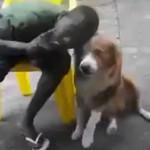 Faire un bisou à un chien qui n&rsquo;est pas le sien : non ! (Vidéo)
