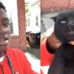 Choc : il maltraite un chat qui a mangé les croquettes de son chien (vidéo)