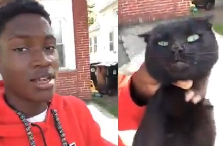 Choc : il maltraite un chat qui a mangé les croquettes de son chien (vidéo)