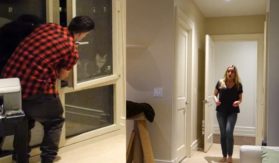 Il fait croire à sa copine que le chat est tombé par la fenêtre (caméra cachée)