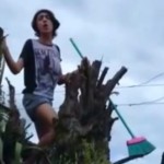Perché sur un arbre, il chante du Bruno Mars quand… (vidéo)