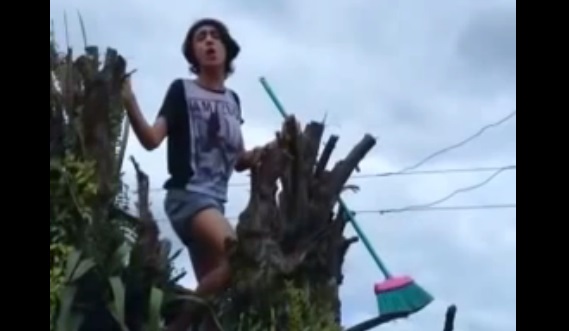 Perché sur un arbre, il chante du Bruno Mars quand… (vidéo)