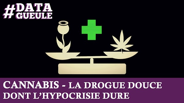Cannabis, la drogue douce dont l&rsquo;hypocrisie dure (vidéo)