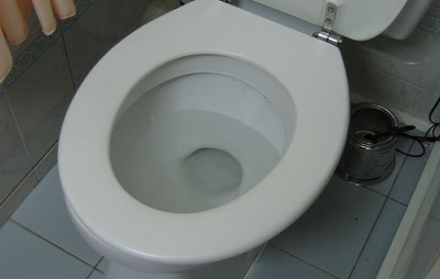 Effrayant : vous ne verrez plus jamais votre cuvette comme avant (vidéo)