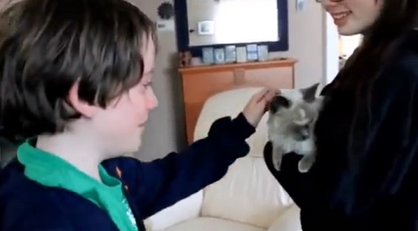 Retrouvailles émouvantes entre des enfants et leur chat ! (vidéo)