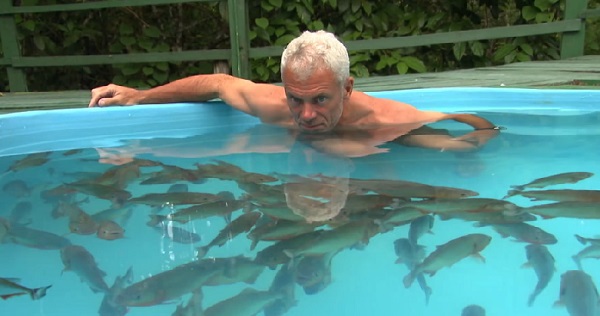 Il se baigne dans une piscine remplie de piranhas